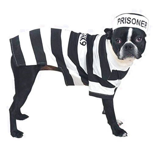 Casual Canine Prison Pooch Costume for Dogs, 24