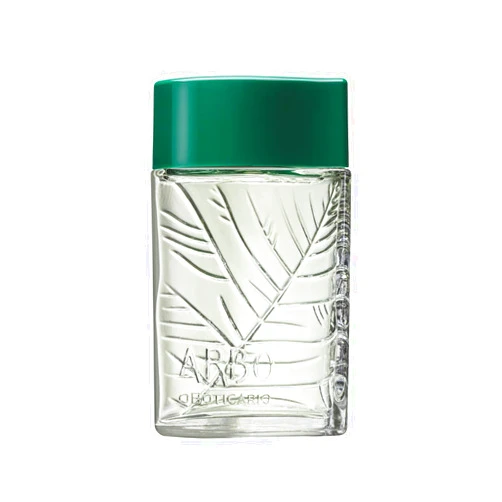 O BOTICARIO Arbo Eau de Toilette, Long Lasting Perfume For Men | Fresh Citrus & Green Men's Fragrance (3.2 fl oz)
