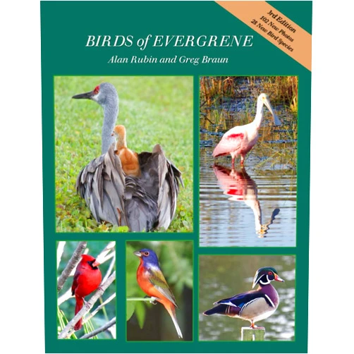 By Alan Rubin (Author), Greg Braun (Author) Birds of Evergrene, Third Edition