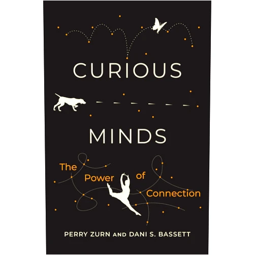 Perry Zurn,Dani S. Bassett Curious Minds: The Power of Connection
