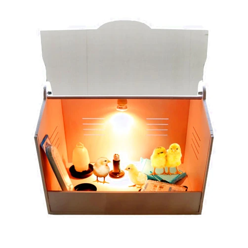 IINCOOY Chick Brooder with Bulb Set and Thermometer Pet Pee Pad Heat, Hatching Equipment Incubation Box Suitable for Chicks Duckling Parrot Lizard