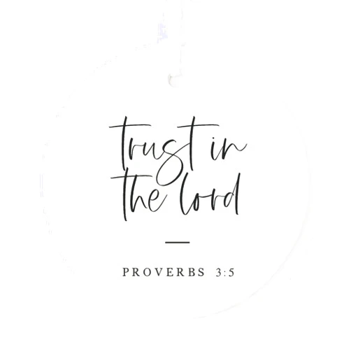 The Cotton & Canvas Co. Trust in The Lord Porcelain Scripture, Bible Verse, Porcelain Ceramic Christmas Ornament with Ribbon and Complimentary Gift Box