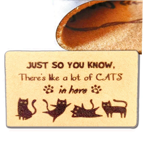 WRIVQSYO Welcome Mat, There's Like Lot of Cats Funny Doormat, Front Back Door Mat No Admittance Except On Party Business Rubber Backing Low-Profile 30X18 Inch