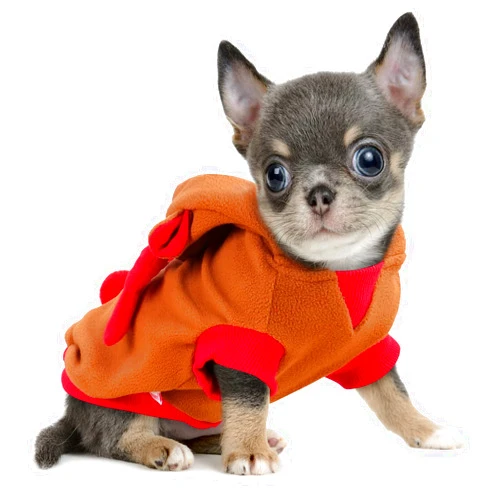 Frienperro Christmas Reindeer Small Dog Costume, Dog Christmas Costumes, Dog Hoodie Dog Clothes for Small Dogs Girl Boy, French Bulldog Clothes Frenchie Clothes Pet Winter Sweater, Puppy Clothing