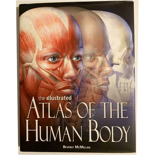 By beverly-mcmillan (Author) the-illustrated-atlas-of-the-human-body