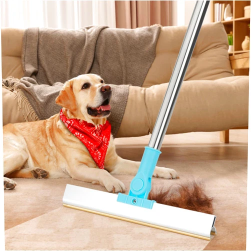 AXEGY Carpet Rake for Pet Hair Removal - Reusable Pet Hair Removal Tool Broom for Carpet Adjustable 54’’ Long Handle Dog Cat Hair Remover Carpet Scraper Brush for Low Pile Rugs Couch Mats Furniture