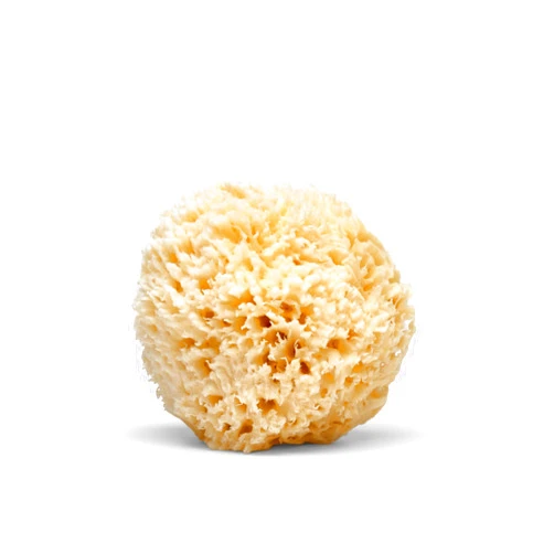 LATHER Natural Sea Wool Sponge 4-6” - Gentle Exfoliating Loofah for Invigorating Spa Experience - Natural Bath Sponge Varies in Size & Shape - Organic Loofah