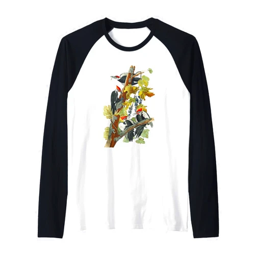 American Naturalist & Nature Artwork Vintage Pileated Woodpecker Birds Illustration Men & Women Raglan Baseball Tee