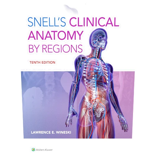 Dr. Lawrence E. Wineski Snell's Clinical Anatomy by Regions