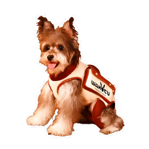 Wakytu Dog Lift Harness Dog Carrier Dog VES Harness Adjustable Dog Leash with Small Puppy Treat Bag