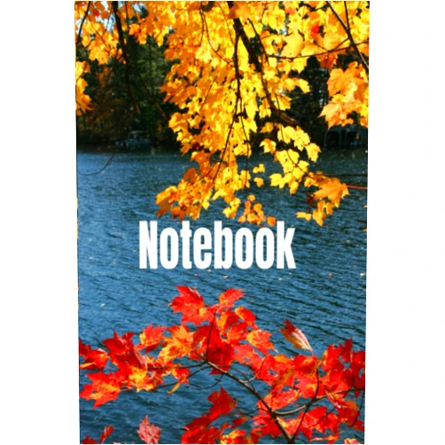 Proscovia Nicole mills Notebook