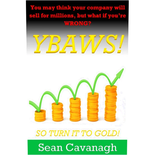 By Liga Kavana (Illustrator) Format: Kindle Edition YBAWS!: You May Think Your Company Will Sell For Millions, But What If Your Are Wrong?