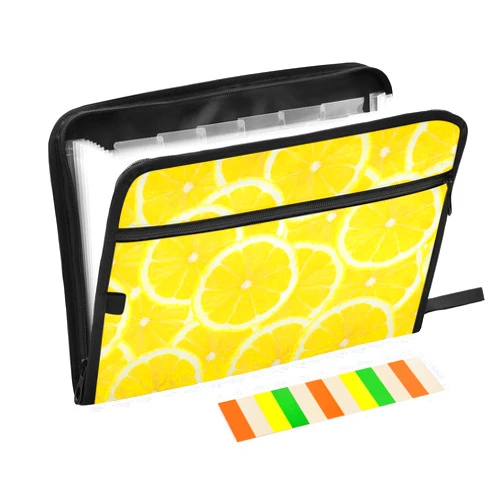Pnyoin Expanding File Folder - 13 Pocket Accordion File Folders with Sticky Labels, A4 Letter Size Paper Document Organizer with Zipper Closure for Office School Boys Girls,Lemon