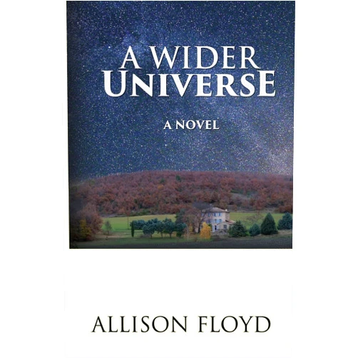 Allison Floyd A Wider Universe: A Novel