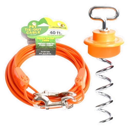 Intellileash Intelli-Stayk with 40' Cable for Dogs up to 90 Pounds