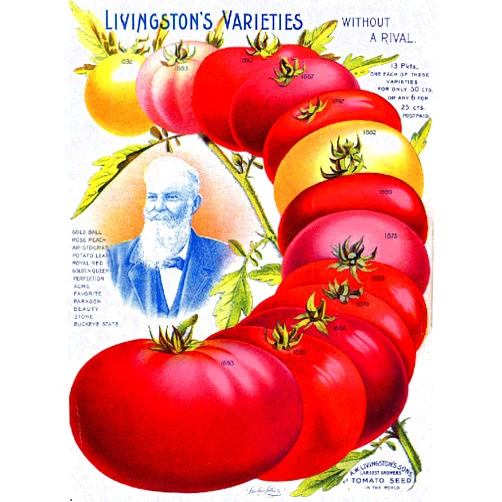Livingston Vintage Seed Co. Reproduction Print 11 x 17 Livingston Co.#9