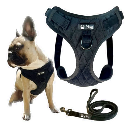 Crème de la Paw Cute Step-in No Choke No Pull Soft Padded Adjustable Small and Medium Quilted Velvet Dog Harness and Leash Set (Black, Medium)