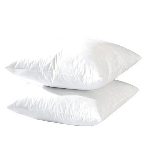 Basic home 20x20 Decorative Throw Pillow Inserts-Down Feather Pillow Inserts-Square-Cotton Fabric-Set of 2-White.