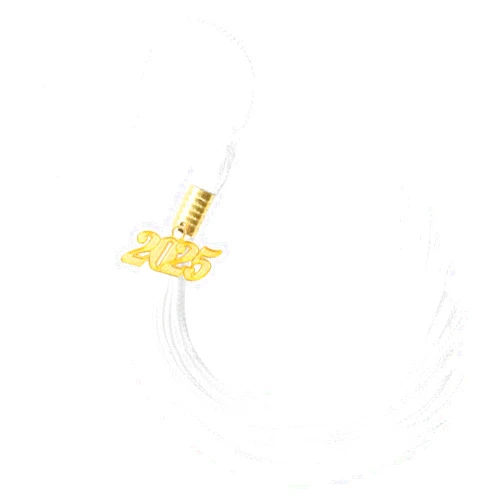 Lhocm 2025 Graduation Tassel, Graduation 2025 Tassel, White Graduation Cap Tassel 2025 Tassels for Graduation Cap Hat Decoration Tassel with The 2025 Year Gold Charm for Graduate Ceremonies Accessories