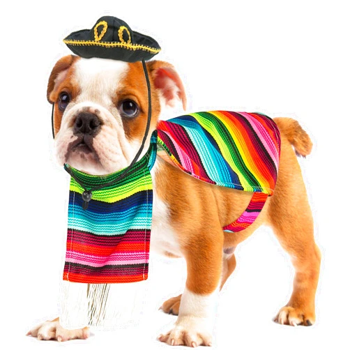 Skeleteen Mexican Serape Dog Costume - Cinco de Mayo Poncho and Sombrero Costumes for Pets (Size XL) - Small Breeds Multicolored