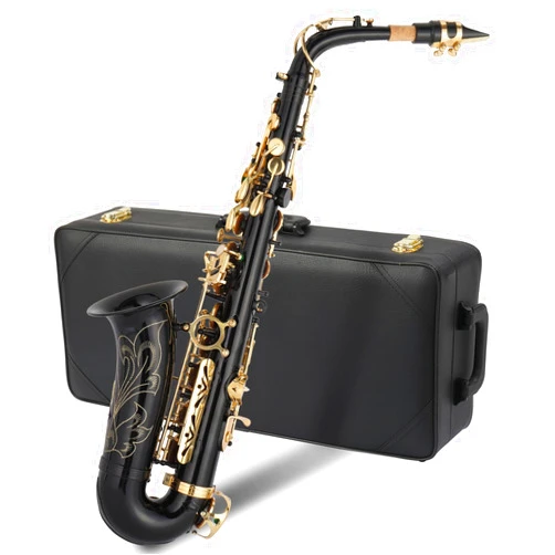 GODECOR E Flat Alto Saxophone, Brass Alto Saxophones Instrument with Carry Case, Mouthpiece, Cleaning Brush & Cloth, Strap Accessories For Beginner Professional