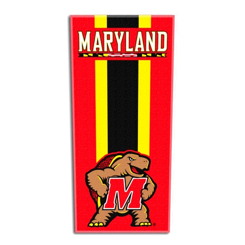 Northwest NCAA Unisex-Adult Beach Towel