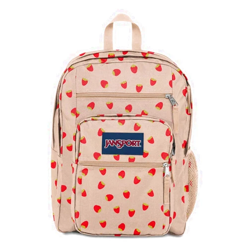 JanSport Laptop Backpack - Computer Bag with 2 Compartments, Ergonomic Shoulder Straps, 15” Laptop Sleeve, Haul Handle - Book Rucksack - Strawberry Shower