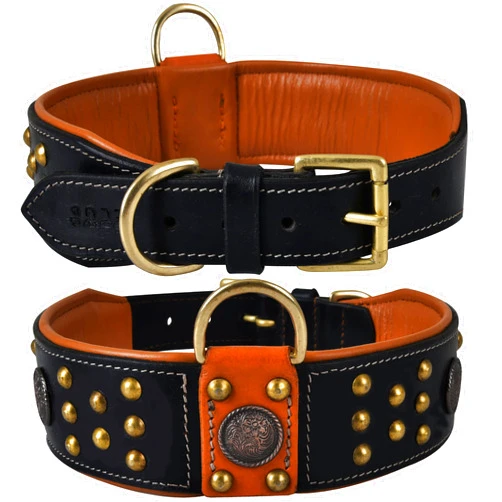 DowgClub Premium Leather ‘Cupola’ Series Collar for Large Dogs | Celtic Conchos & Gold Dome Rivets | 2 Inch Wide | Soft, Heavy Duty, Cushion Padding | (L (Neck Size 18.5