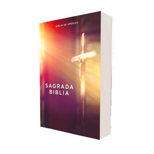 Spanish Edition by Editorial Católica (Author), La Casa de la Biblia (Author) Biblia Católica, Edición Económica, Tapa Rústica, Comfort Print (Spanish Edition)