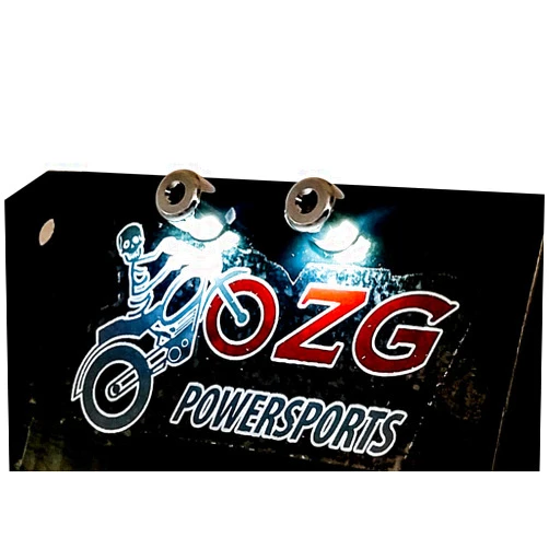 Ozg-motors Chrome Tag Led Light Hex Bolt Motorcycle Custom Chopper License Plate Relocation