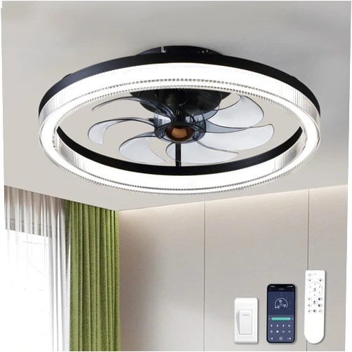 LUDOMIDE Ceiling Fans with Lights, 20
