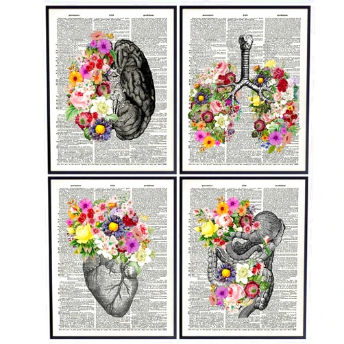 YELLOWBIRD ART & DESIGN Human anatomy Shabby chic Art 11x14 - Vintage Gothic Wall Decor - Unique Gift for Doctor Nurse PA Med Student Hospital - Heart Organs Flowers Poster - Eclectic Home Decor - Aesthetic Trendy Wall Art