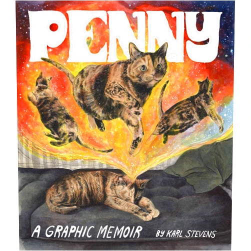 Karl Stevens Penny: A Graphic Memoir
