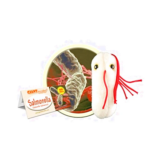 GIANT MICROBES GIANTmicrobes Salmonella Plush -Learn About Food Safety, Bacteria and Gut Health with this Unique Fun Gift for Friends, Families, Teachers, Chefs, Doctors, Gastroenterologists, Students and Scientists