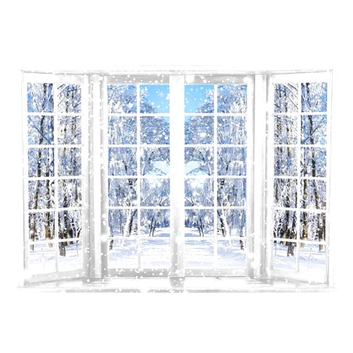 Allenjoy 7x5ft Winter Photography Backdrop Beautiful Nature Snowy Scenery from French Window Background for Kids Children Family Christmas Happy New Year Party Decor Banner Portrait Photo Booth Props