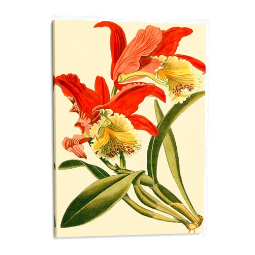 Canvas Lab Canvas Wall Art Decor Mini Orchid Splendor IV by the Artist Vision Studio – Size: 15 x 20 in - Art subject: Botanical,Floral,Nature,Tropical