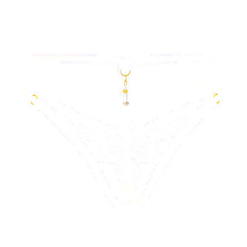 VZ2021 G String Thongs for Women Cutout Pendant Pearl Beads Embellished Underpants Lace Solid Color Sexy T-Back Underwear