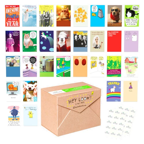 American Greetings Recycled Paper Greetings 30-Count Funny All Occasion Card Assortment with Envelopes, Seals, and Storage Box by Hey Look!