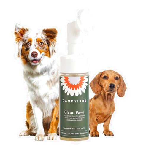 Dandylion Clean Paws | No-Rinse Puppy Paw Cleaner & Dog Paw Wash | Gentle, Fragrance-Free, pH Balanced Foaming Cleanser with Silicone Bristle Brush | Safe for All Dogs | 5 fl oz