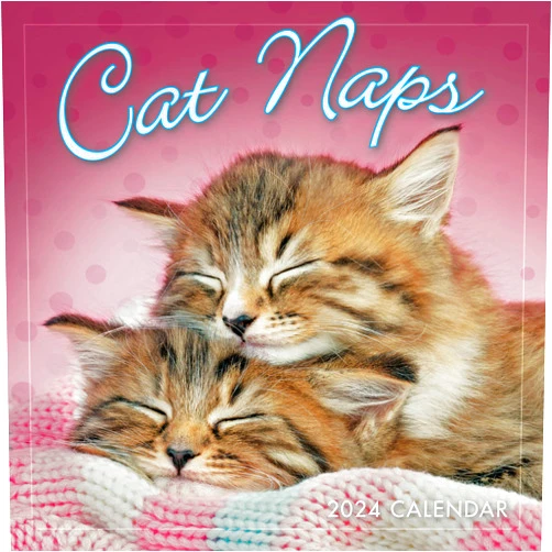 SELLERS PUBLISHING, INC. Cat Naps 2024 Mini Calendar, 7