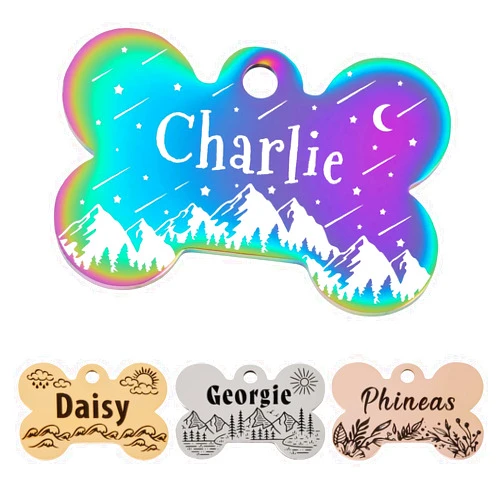 HAVEATAG Customized Dog tags personalized for pets and Cat Tag,Stainless Steel Pet ID Tag Dog Name Tags Front and Back Engraving (Bone, Medium)