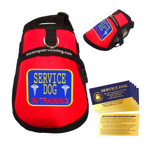 WORKINGSERVICEDOG.COM Service Dog in Training Vest - in Training Harness - Includes 5 Federal Law Cards (32-36