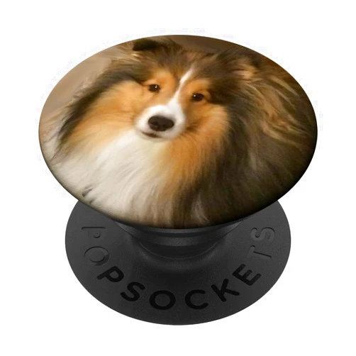 DW Shelties Shetland Sheepdog Sheltie Dog PopSockets Adhesive PopGrip