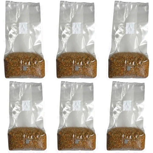 MushroomSpawnStore.com 5lb Organic Sterile Mushroom Grain Spawn | Injector Port Grow Bags, Hydrated, Ready to Inoculate (Pack of 6) | Made in USA