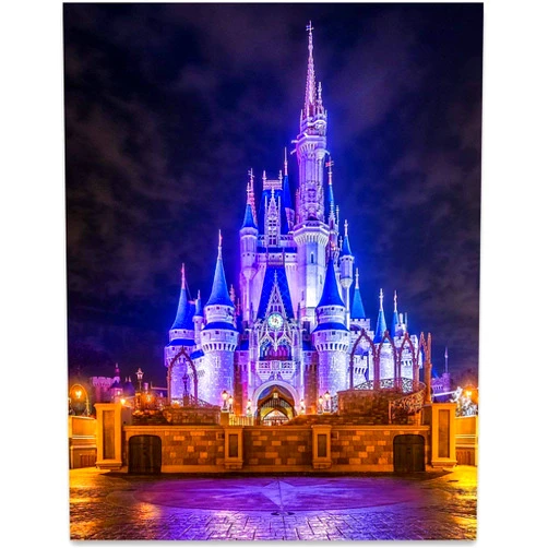 Lone Star Art Cinderella's Castle - 11x14 Unframed Art Print - Great Home and Nursery Walt Disney World Wall Art Magic Kingdom Room Decor or Gift Under $15 for WDW Fans