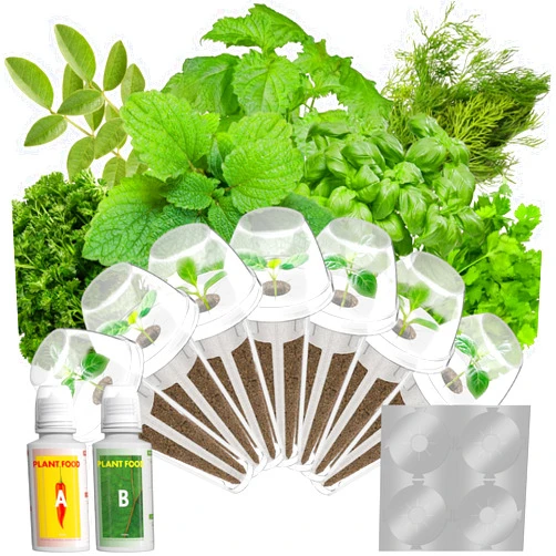 LYKOCLEAN Gourmet Herb Seed Pods for AeroGarden, Ahopegarden, iDOO Hydroponics Growing System Indoor, 400+ Seeds, Germination Kits Include Basil, Cilantro, Dill, Parsley, Mint, Shiso, Liquorice(7-Pods)