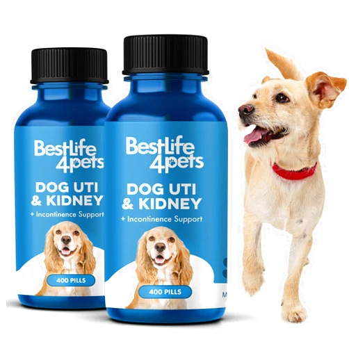 BestLife4Pets Dog UTI Kidney Support - Natural Urinary Tract Infection Treatment – Renal and Bladder Control Supplement – Easy to Use Pills (2 PACK)