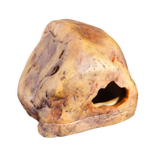 Exo Terra Gecko Cave for Reptiles and Amphibians, Reptile Hideout, Small, PT2864