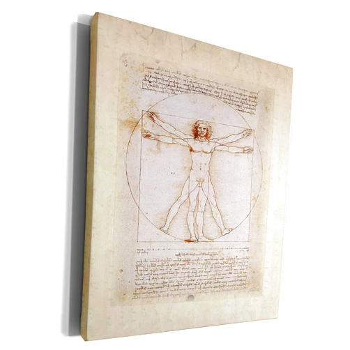 3dRose Museum Grade Canvas Wrap - Famous DaVinci Drawing Famous Art