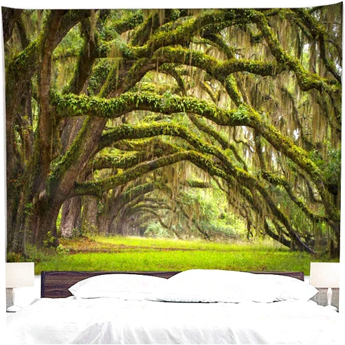 Showutheworld An Array Of Green Old Woods Scenery Wall Tapestry Decor Living Room Bedroom for Home Decoration Tapestries Wall Hanging Blanket Inhouse by Printed in 59x90 Inches for Wall Hanging Tapestry Color #4 59x90 Inchs(150x23 cm)